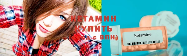 трава Абаза