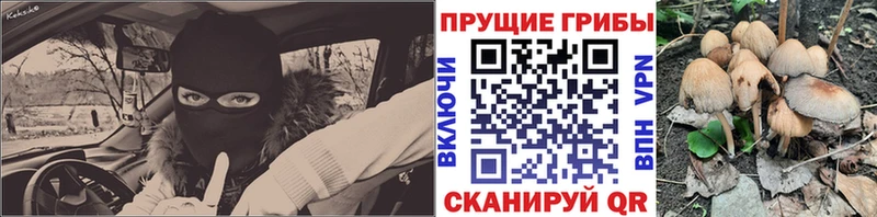 наркотики Цимлянск Псилоцибиновые грибы Magic Shrooms